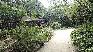 pa200910_thumb.jpg