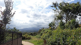 pa200912_thumb.jpg