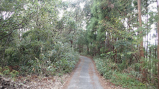 pa200914_thumb.jpg