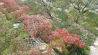 pa200925_thumb.jpg