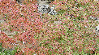 pa200927_thumb.jpg
