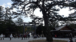 pa260992_thumb.jpg