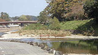 pa260996_thumb.jpg