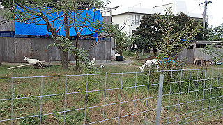 pa261037_thumb.jpg