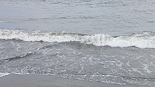 pa261041_thumb.jpg