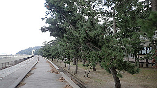pa261047_thumb.jpg