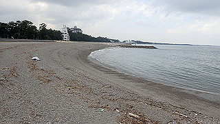 pa261054_thumb.jpg