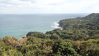pa261115_thumb.jpg