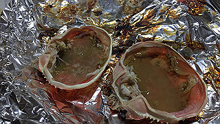 img_0747_thumb.jpg