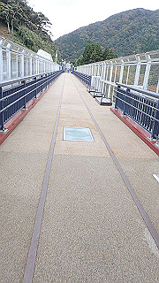 pb010991_thumb.jpg