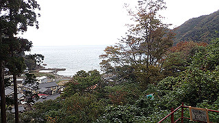 pb011010_thumb.jpg