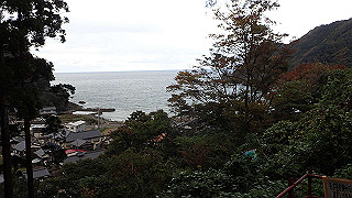 pb011011_thumb.jpg