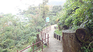 pb011012_thumb.jpg