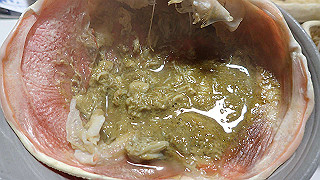 pb011032_thumb.jpg