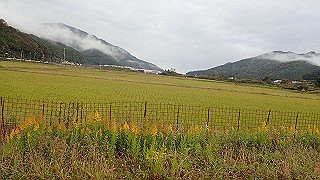 pb021037_thumb.jpg