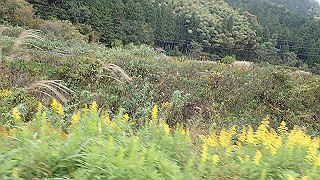 pb021049_thumb.jpg