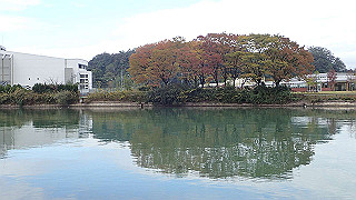 pb021094_thumb.jpg