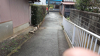 pb021101_thumb.jpg