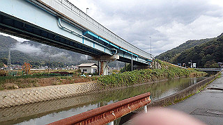 pb021105_thumb.jpg