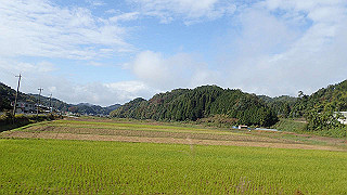 pb021109_thumb.jpg