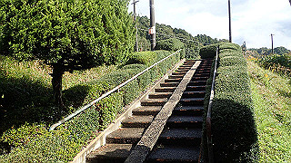 pb021117_thumb.jpg