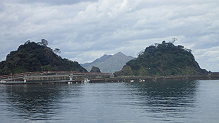 pb021147_thumb.jpg