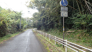 pb021210_thumb.jpg