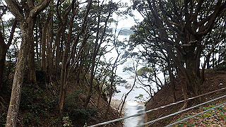 pb021213_thumb.jpg