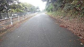 pb021216_thumb.jpg