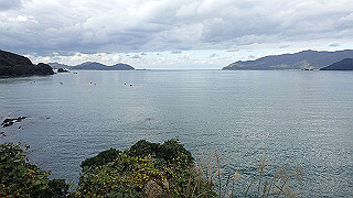 pb021224_thumb.jpg