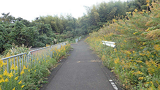 pb021228_thumb.jpg