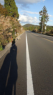 pb021277_thumb.jpg