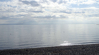 pb031293_thumb.jpg