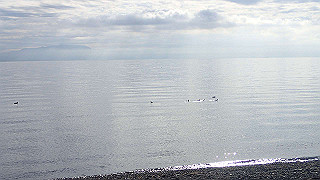 pb031294_thumb.jpg