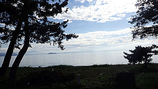 pb031295_thumb.jpg