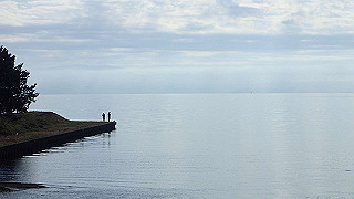 pb031299_thumb.jpg