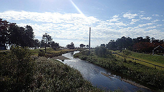 pb031300_thumb.jpg
