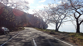 pb031302_thumb.jpg