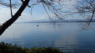 pb031303_thumb.jpg