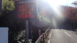 pb031305_thumb.jpg