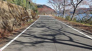 pb031306_thumb.jpg