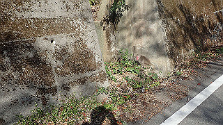 pb031307_thumb.jpg