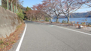 pb031308_thumb.jpg