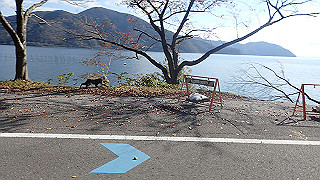 pb031309_thumb.jpg