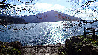 pb031311_thumb.jpg
