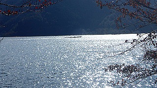 pb031312_thumb.jpg