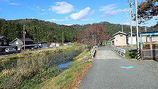 pb031319_thumb.jpg