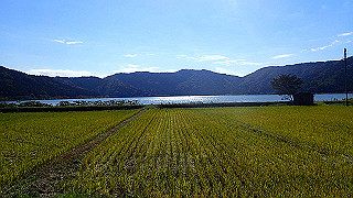 pb031345_thumb.jpg