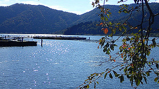 pb031349_thumb.jpg