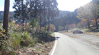 pb031360_thumb.jpg